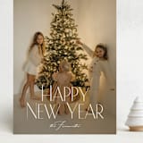"Noël classique" - Holiday Cards in Frost by Benita Crandall - Front