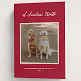 "Christmas Treats" - Holiday Cards in Red Chew Toy by Sarah Hawkins Designs - Folded Card