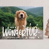 "It's a Wonder-FUR Life" - Holiday Cards in Snow by Sandra Picco Design - Front