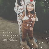 "Star Spangled" - Holiday Cards in Snow by AK Graphics - Detail