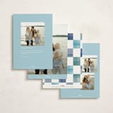 "Bright & Happy" - Holiday Cards in Frost by Robert and Stella - Back of Card Options