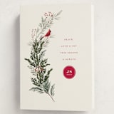 "Cardinal" - Holiday Cards in Holly Berry by Baumbirdy - Folded Card