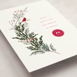 "Cardinal" - Holiday Cards in Holly Berry by Baumbirdy - Detail