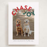 "Chase Joy" - Holiday Cards in Holly by Angela Garrick - Front