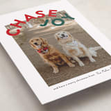 "Chase Joy" - Holiday Cards in Holly by Angela Garrick - Detail