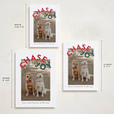 "Chase Joy" - Holiday Cards in Holly by Angela Garrick - Formats Available