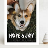 "Puppy Love and Joy" - Holiday Cards in Snow by Hooray Creative - Front