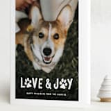 "Puppy Love and Joy" - Holiday Cards in Snow by Hooray Creative - Folded Card