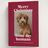 "Happy Howlidays" - Holiday Cards in Pomegranate by Annie Clark - Folded Card