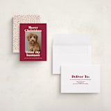 "Happy Howlidays" - Holiday Cards in Pomegranate by Annie Clark - Assembled