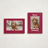 "Happy Howlidays" - Holiday Cards in Pomegranate by Annie Clark - Photo Orientation Options