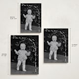 "Merry Bunch" - Holiday Cards in Frost by letterfix - Formats Available