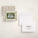 "Highlands" - Holiday Cards in Cornflower by Sarah Knight - Assembled