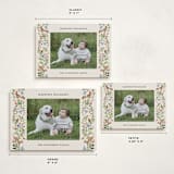"Highlands" - Holiday Cards in Cornflower by Sarah Knight - Formats Available