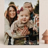 "Snowfall" - Holiday Cards in Winter by Itsy Belle Studio - Front