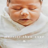 "Merrier Than Ever Before" - Holiday Cards in Snowfall by Carolyn MacLaren - Detail