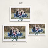 "Crimson Bow" - Holiday Cards in Blue Velvet by Olivia Kanaley Inman - Formats Available