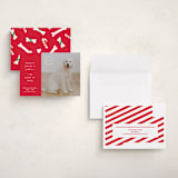 "NAUGHTY HOLIDAY DOG" - Holiday Cards in Holly by The Social Type - Assembled