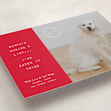 "NAUGHTY HOLIDAY DOG" - Holiday Cards in Holly by The Social Type - Detail