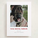 "Indeed" - Holiday Cards in Peppermint by Kristen Knechtel - Front