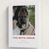 "Indeed" - Holiday Cards in Peppermint by Kristen Knechtel - Folded Card