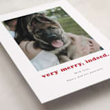 "Indeed" - Holiday Cards in Peppermint by Kristen Knechtel - Detail