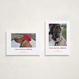 "Indeed" - Holiday Cards in Peppermint by Kristen Knechtel - Photo Orientation Options