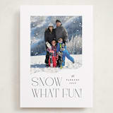 "Snow What Fun" - Holiday Cards in Ink by Olivia Raufman - Front
