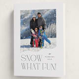 "Snow What Fun" - Holiday Cards in Ink by Olivia Raufman - Folded Card