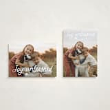 "Unleashed" - Holiday Cards in Snow by Annie Holmquist - Photo Orientation Options