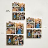 "Septet" - Holiday Cards in Snowflake by Jessica Williams - Formats Available