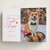 "Here Comes Santa Paws" - Holiday Cards in Cherry by Everett Paper Goods - Folded Card