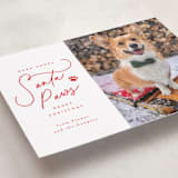 "Here Comes Santa Paws" - Holiday Cards in Cherry by Everett Paper Goods - Detail