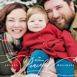 "Peaceful Holidays" - Holiday Cards in Snowfall by Shannon Chen of Four Wet Feet Studio - Detail