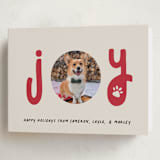 "Joyful Pet" - Holiday Cards in Candy Cane by Louise Kay - Folded Card