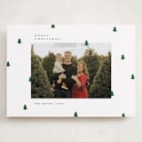 "Scattered Trees" - Holiday Cards in Cotton by Michelle Taylor - Front