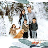 "Wintery Eucalyptus" - Holiday Cards in Snow by Angel Walker - Detail