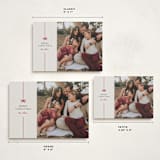 "Bow" - Holiday Cards in Poinsettia by Pixel and Hank - Formats Available