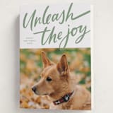 "Unleash the Joy" - Holiday Cards in Spruce by Erin German - Folded Card