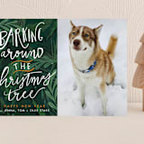 "Barking Fun" - Holiday Cards in Evergreen by Stephanie Given - Front
