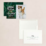 "Barking Fun" - Holiday Cards in Evergreen by Stephanie Given - Assembled