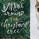 "Barking Fun" - Holiday Cards in Evergreen by Stephanie Given - Detail