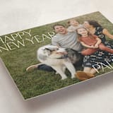 "Big Time" - Holiday Cards in Snow by Inkblot Design - Detail