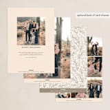 "Monogrammed" - Holiday Cards in Ivory by Meagan Christensen - Back of Card Options