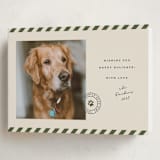 "Mostly Good" - Holiday Cards in Forest by Roxy Cervantes - Folded Card