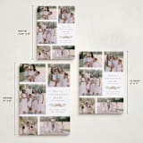 "Multi Swag" - Holiday Cards in Sage by Everett Paper Goods - Formats Available