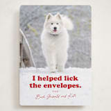 "Helping" - Holiday Cards in Chewed Stocking by Hudson meet Rose - Front