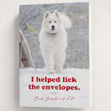 "Helping" - Holiday Cards in Chewed Stocking by Hudson meet Rose - Folded Card