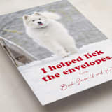 "Helping" - Holiday Cards in Chewed Stocking by Hudson meet Rose - Detail