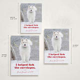 "Helping" - Holiday Cards in Chewed Stocking by Hudson meet Rose - Formats Available